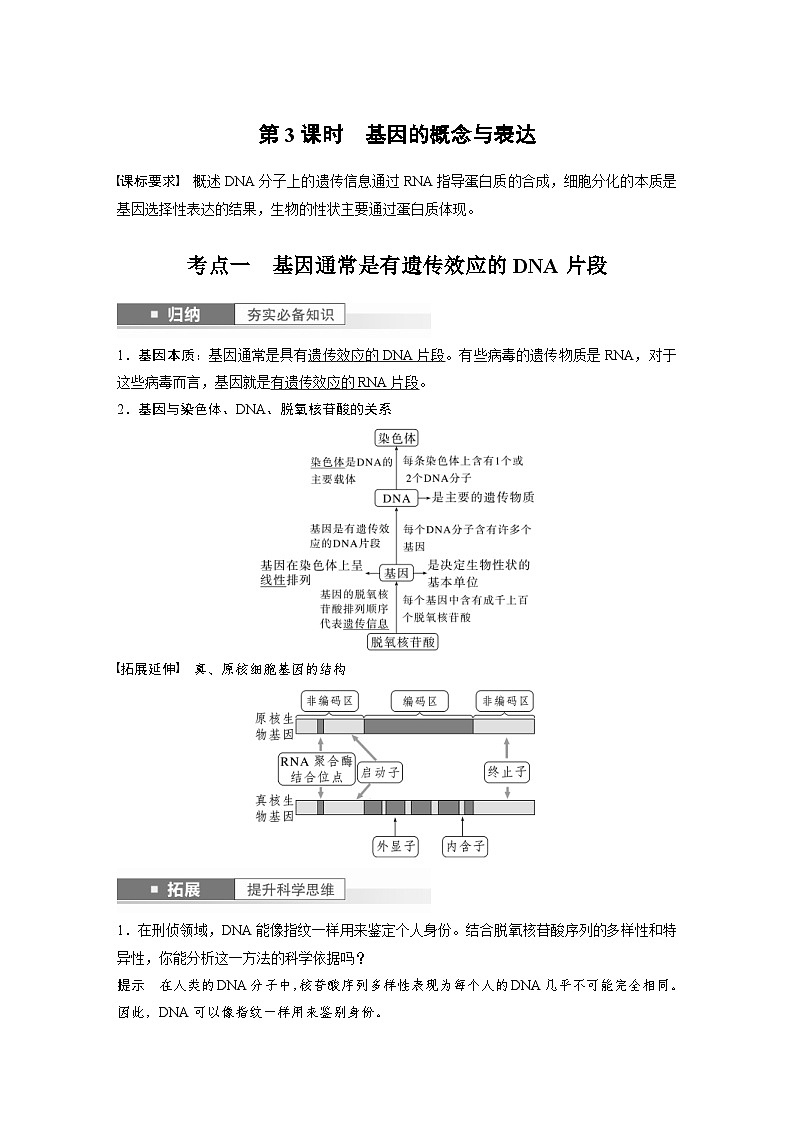 新高考生物一轮复习考点梳理讲义 第6单元　第3课时　基因的概念与表达（含解析）01