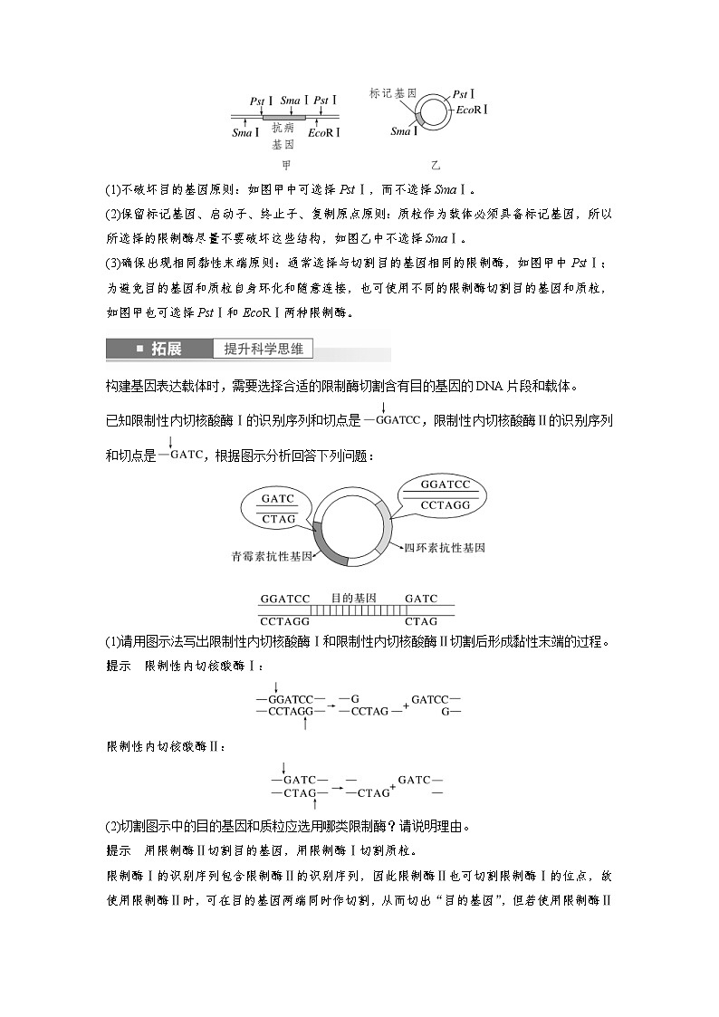 新高考生物一轮复习考点梳理讲义 第10单元　第6课时　基因工程的基本工具和基本操作程序（含解析）03