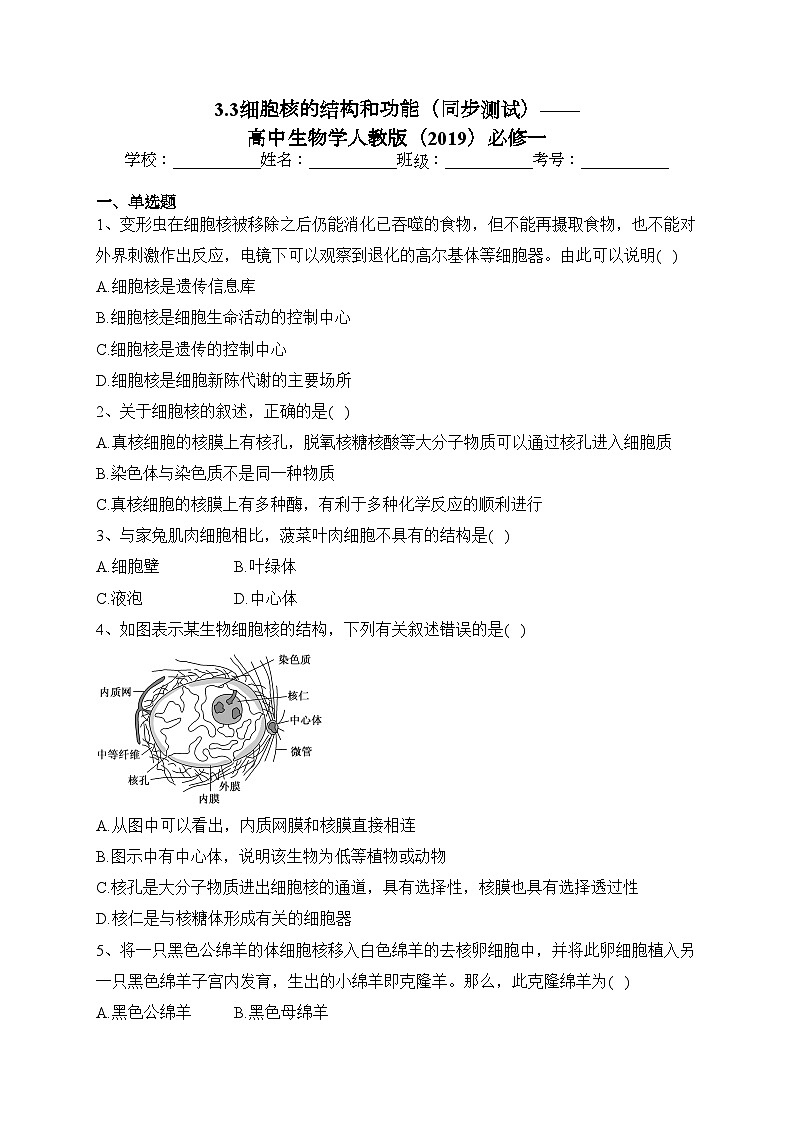 3.3细胞核的结构和功能（同步测试）——高中生物学人教版（2019）必修一(含答案)第1页