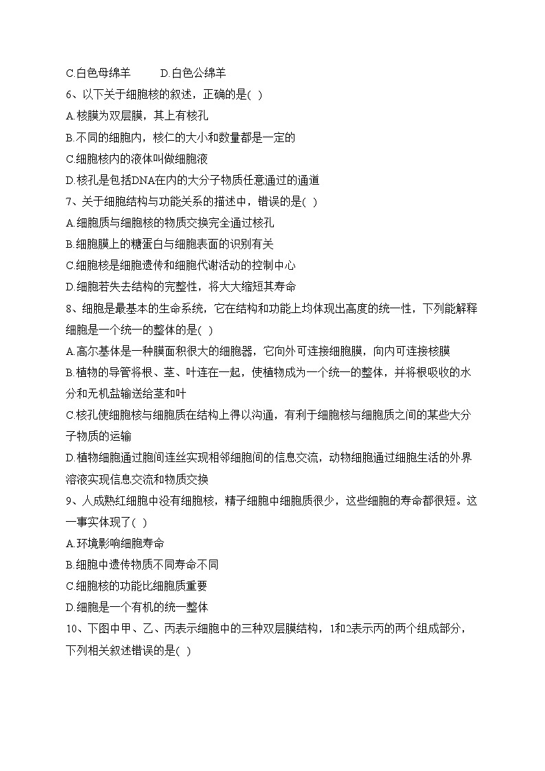 3.3细胞核的结构和功能（同步测试）——高中生物学人教版（2019）必修一(含答案)第2页