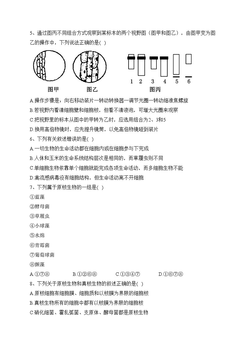 眉山市彭山区第一中学2023-2024学年高一上学期10月质量检测生物试卷(含答案)第2页