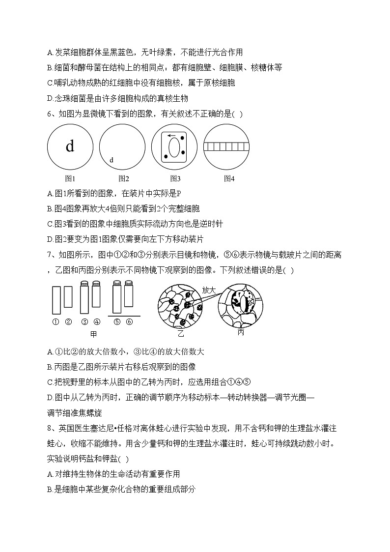 四川省仁寿第一中学南校区2023-2024学年高一上学期10月第二次质量检测生物试卷(含答案)02