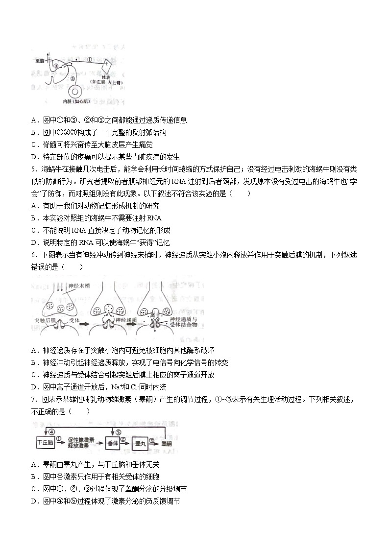 江西省景德镇市景德镇一中2023-2024学年高二上学期期中生物试题第2页