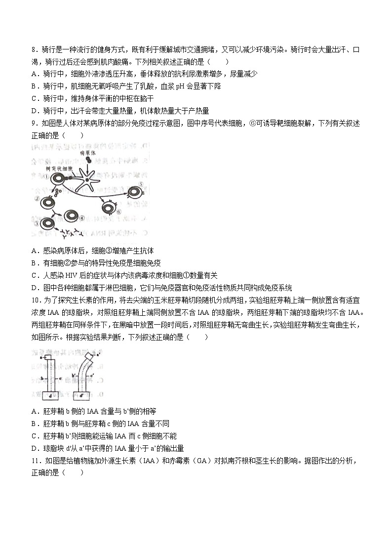 江西省景德镇市景德镇一中2023-2024学年高二上学期期中生物试题第3页