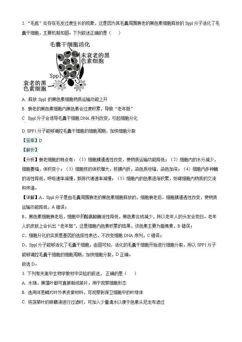 精品解析：江苏省无锡市2023-2024学年高三上学期期中教学质量调研测试生物试题（解析版）第2页