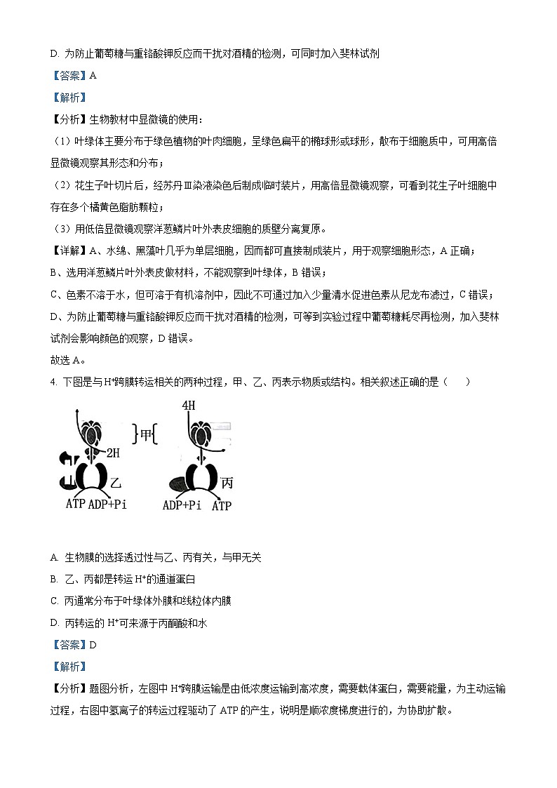 精品解析：江苏省无锡市2023-2024学年高三上学期期中教学质量调研测试生物试题（解析版）第3页