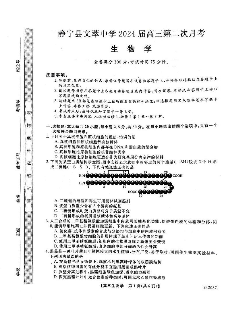 2024平凉静宁县文萃中学高三上学期11月月考生物试卷扫描版含答案第1页