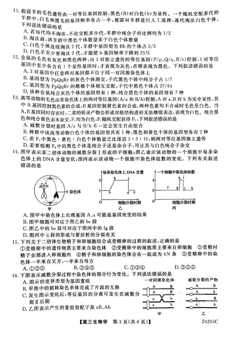 2024平凉静宁县文萃中学高三上学期11月月考生物试卷扫描版含答案第3页
