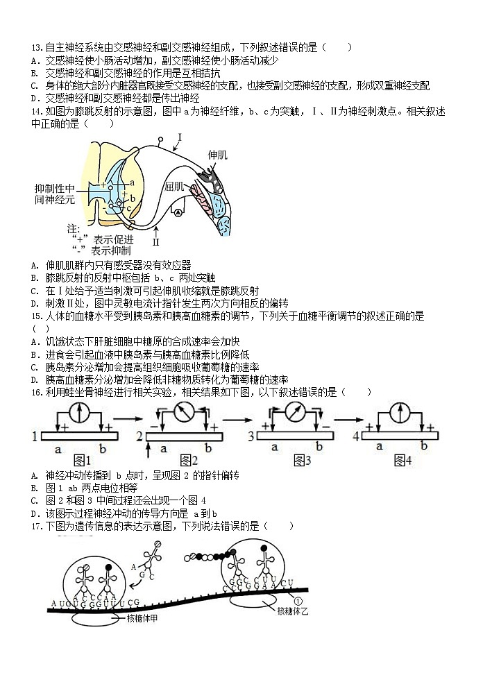 浙江省钱塘联盟2023-2024学年高二上学期期中联考生物试题第3页