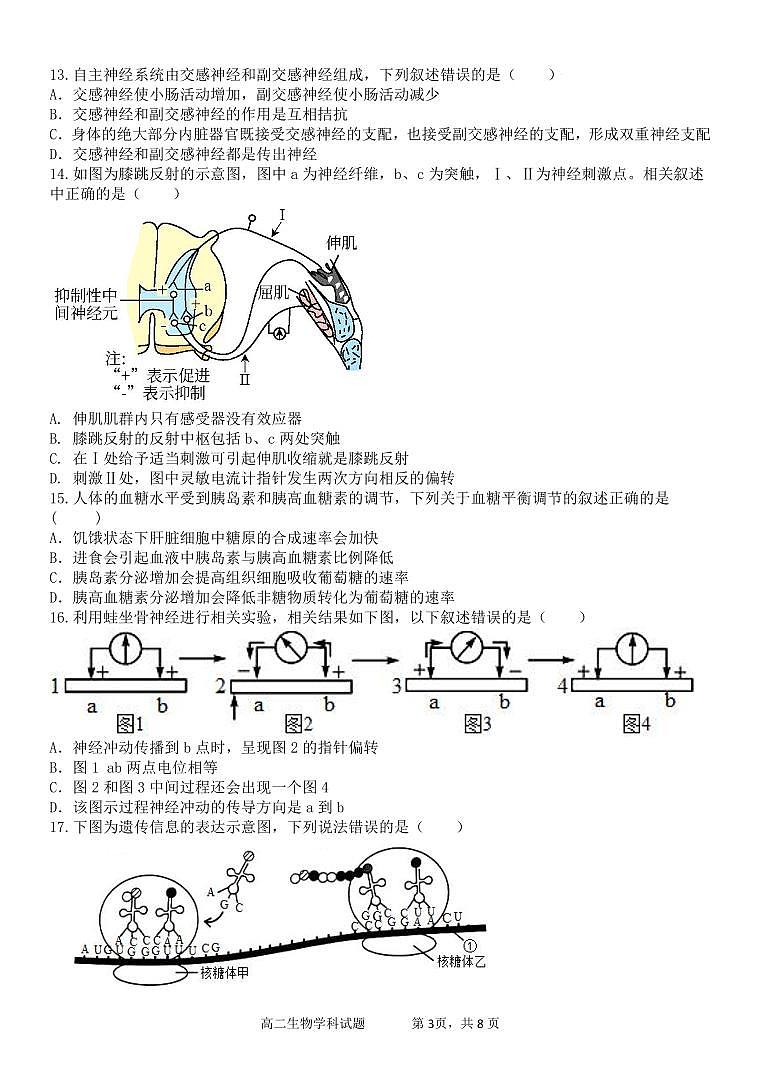 2024浙江省钱塘联盟高二上学期期中联考生物试题扫描版含答案03