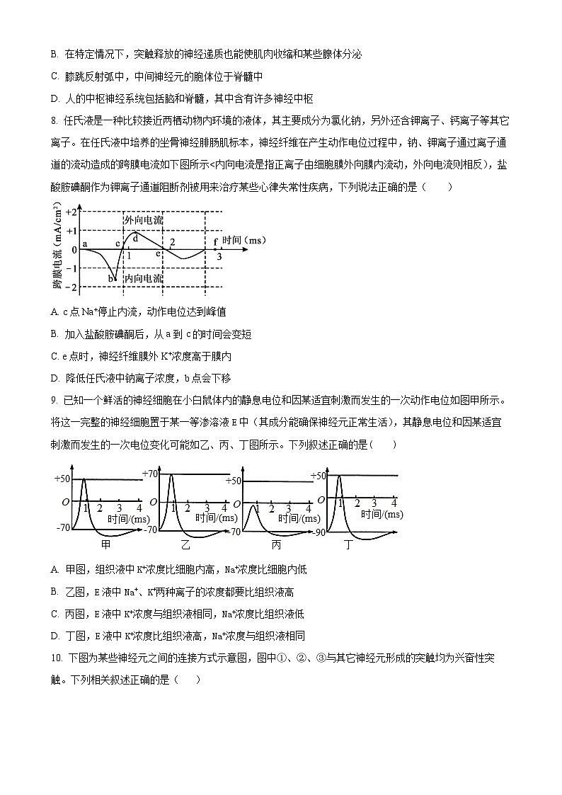2024成都树德中学高二上学期期中生物试题含解析03