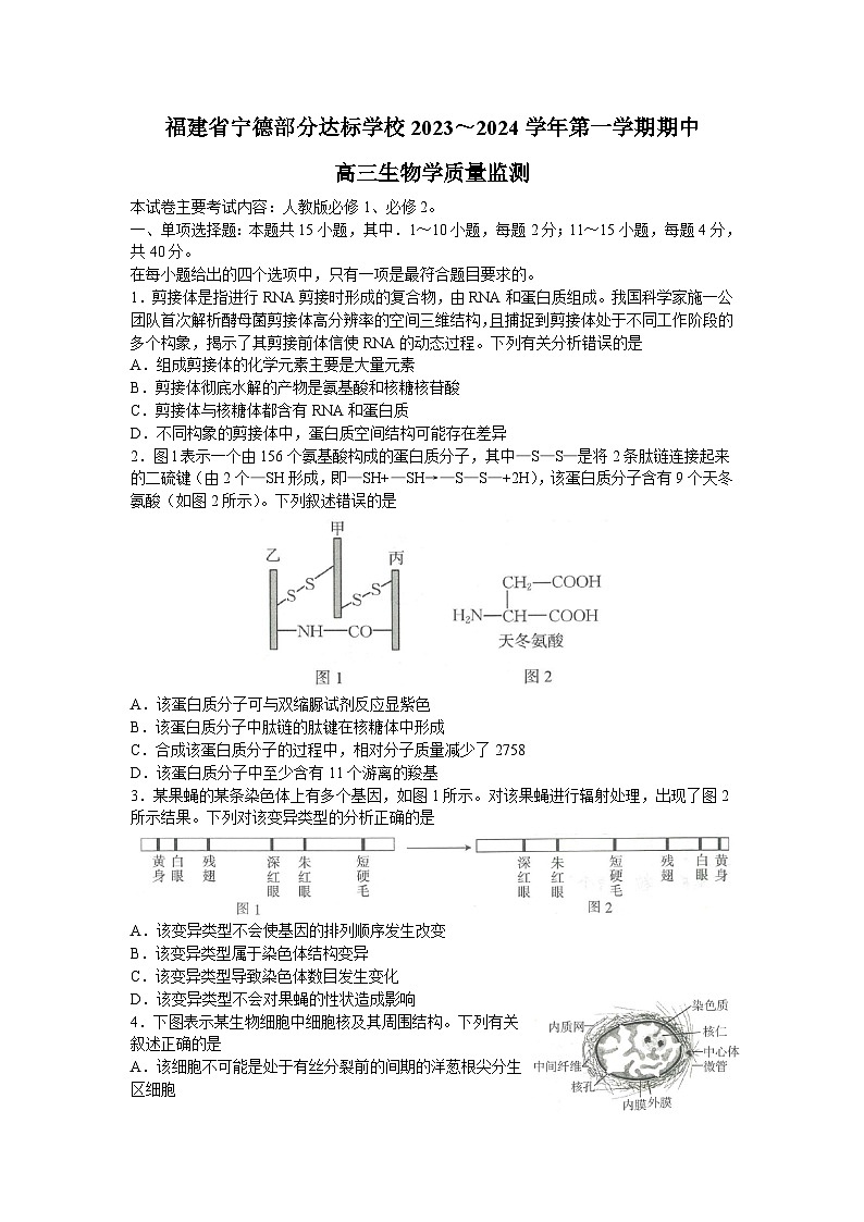福建省宁德市部分达标学校2023-2024学年高三上学期期中生物试题01