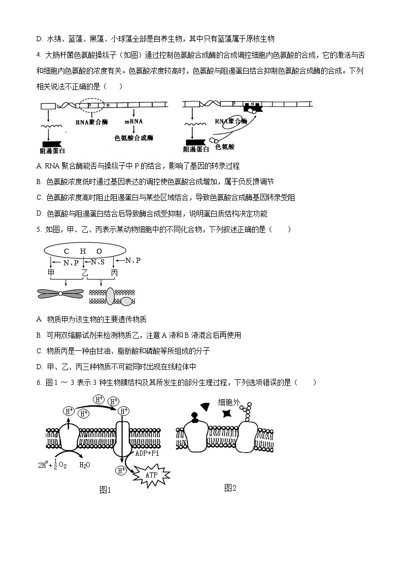 重庆市渝北中学2023-2024学年高三生物上学期10月月考质量监测试题（Word版附解析）02