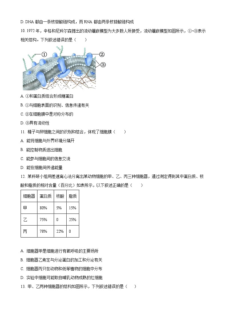 陕西省西安市2023-2024学年高一生物上学期期中质量检测（Word版附解析）03