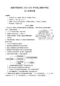 四川省成都外国语学校2023-2024学年高二生物上学期期中考试试卷（Word版附答案）