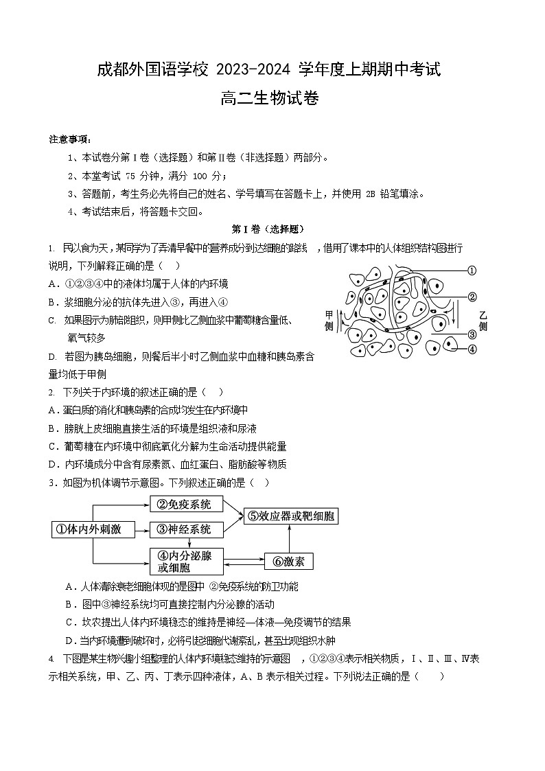 四川省成都外国语学校2023-2024学年高二生物上学期期中考试试卷（Word版附答案）01