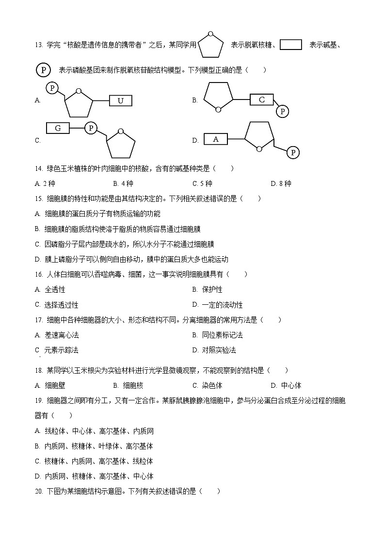 四川省绵阳市2023-2024学年高一生物上学期期中考试试卷（Word版附解析）03