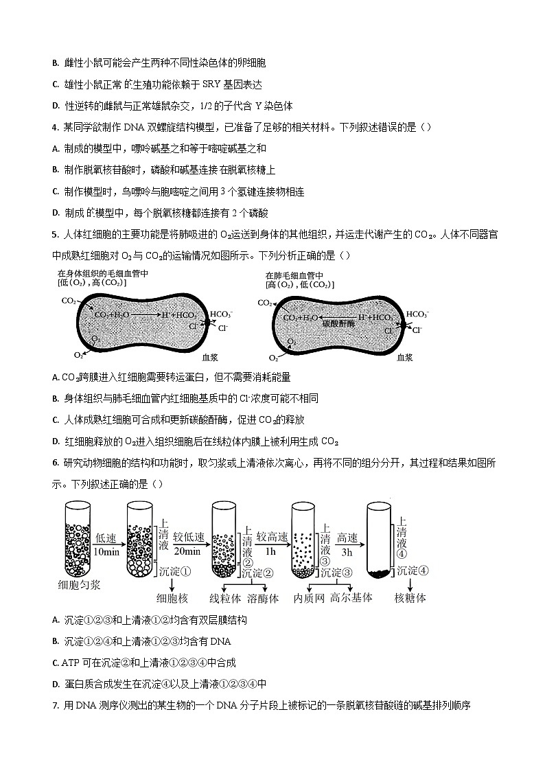 山东省济南市莱芜第一中学2024届高三上学期期中考试生物试题第2页