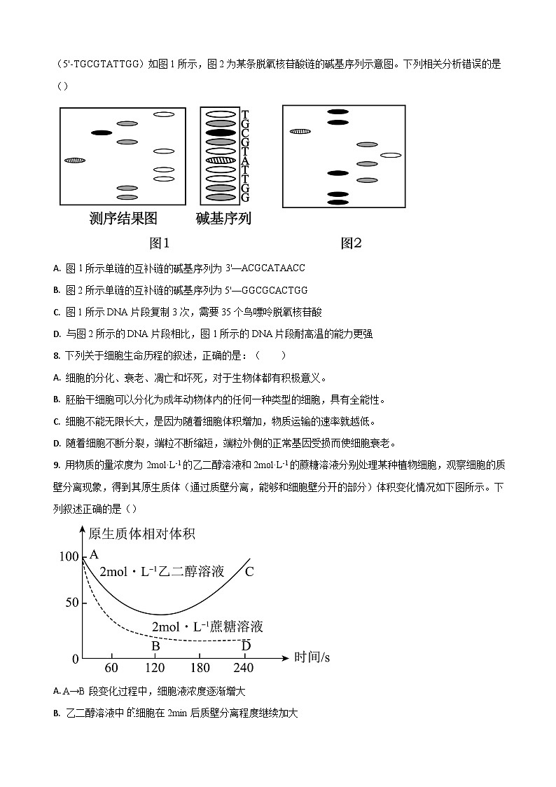 山东省济南市莱芜第一中学2024届高三上学期期中考试生物试题第3页