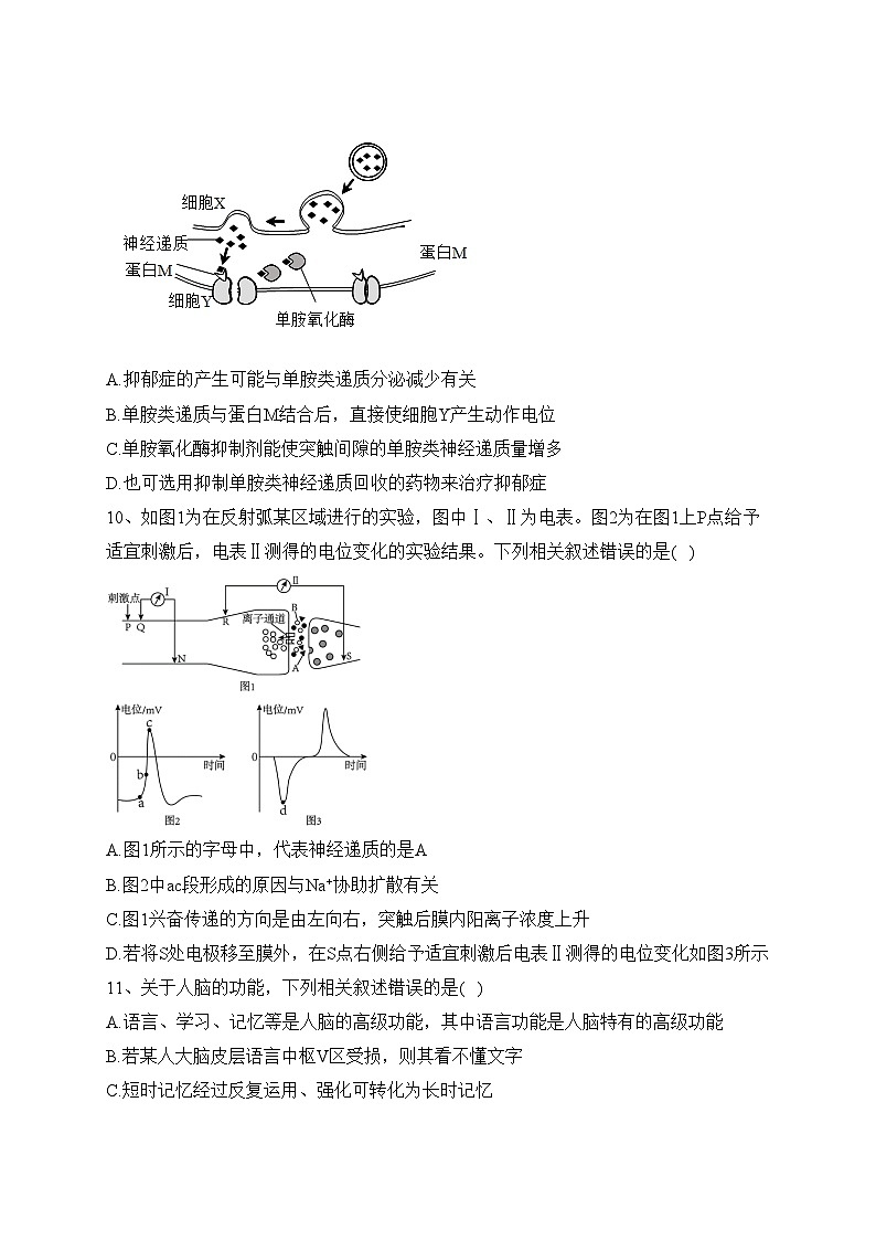河北省沧州市运东七县联考2023-2024学年高二上学期9月月考生物试卷(含答案)第3页