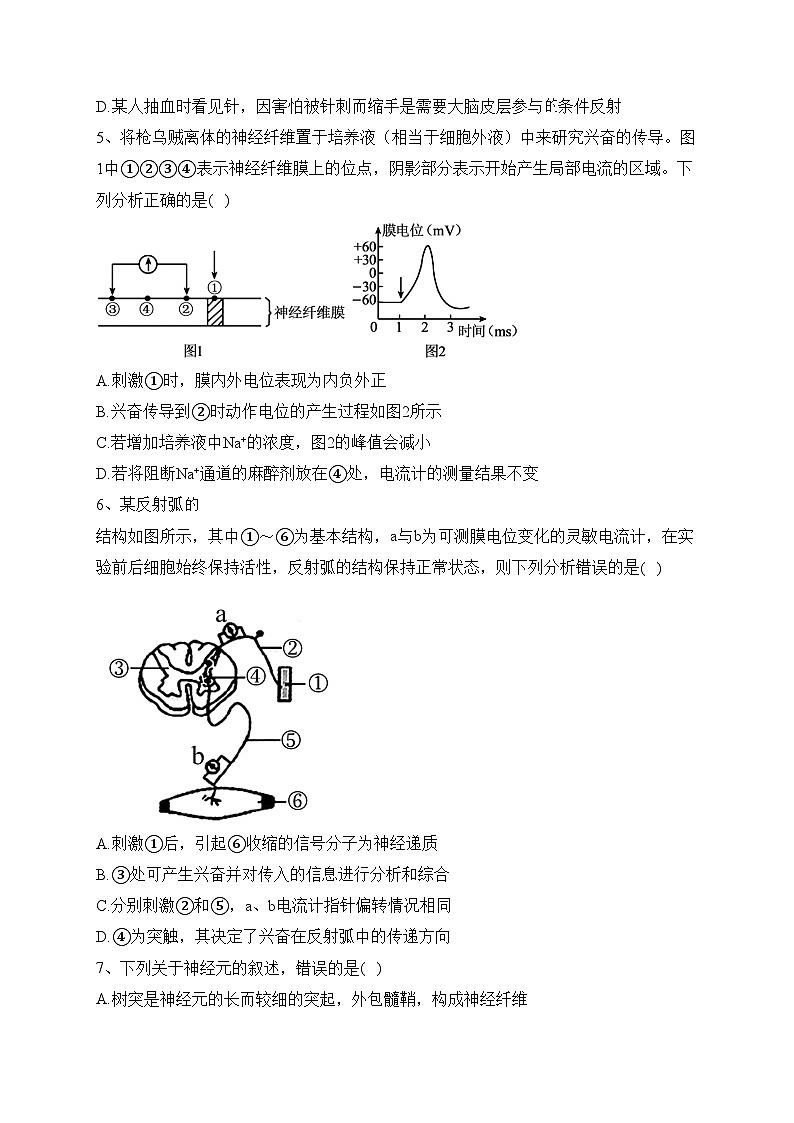 四川省仁寿第一中学校北校区2023-2024学年高二上学期10月月考生物试卷(含答案)02