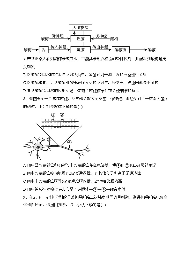 武汉市第四十九中学2023-2024学年高二上学期10月月考生物试卷(含答案)第3页