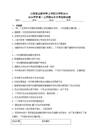 山西省吕梁市孝义市部分学校2023-2024学年高一上学期10月月考生物试卷(含答案)