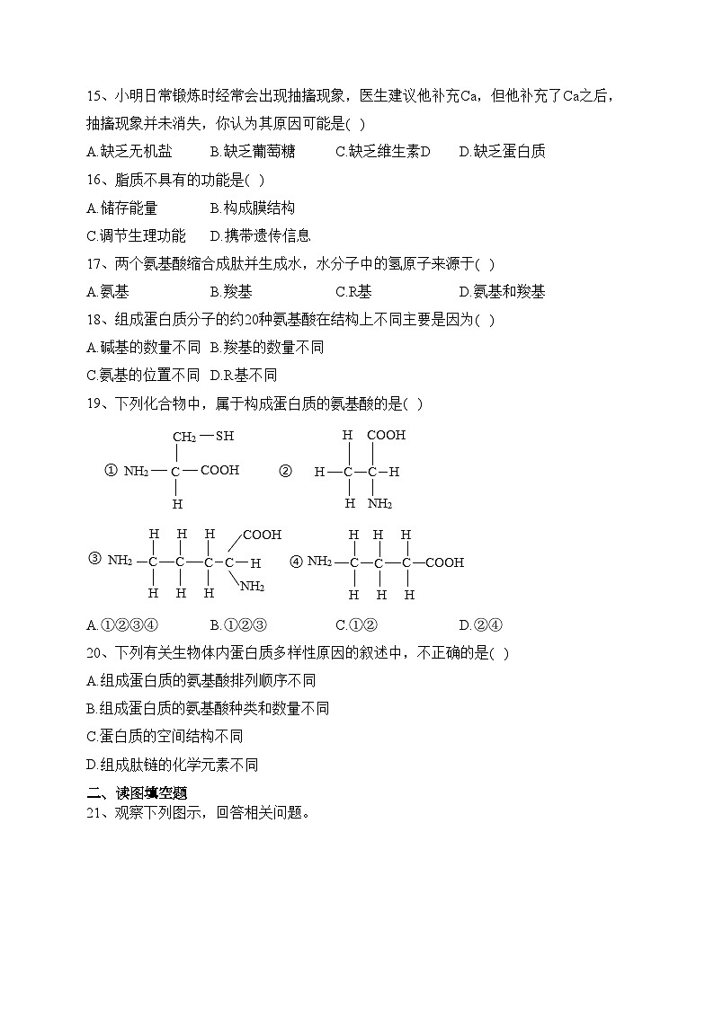 太原市小店区第一中学校2023-2024学年高一上学期10月第一次月考生物试卷(含答案)第3页