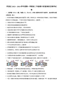 2024天津河西区高三上学期期中生物试题含解析