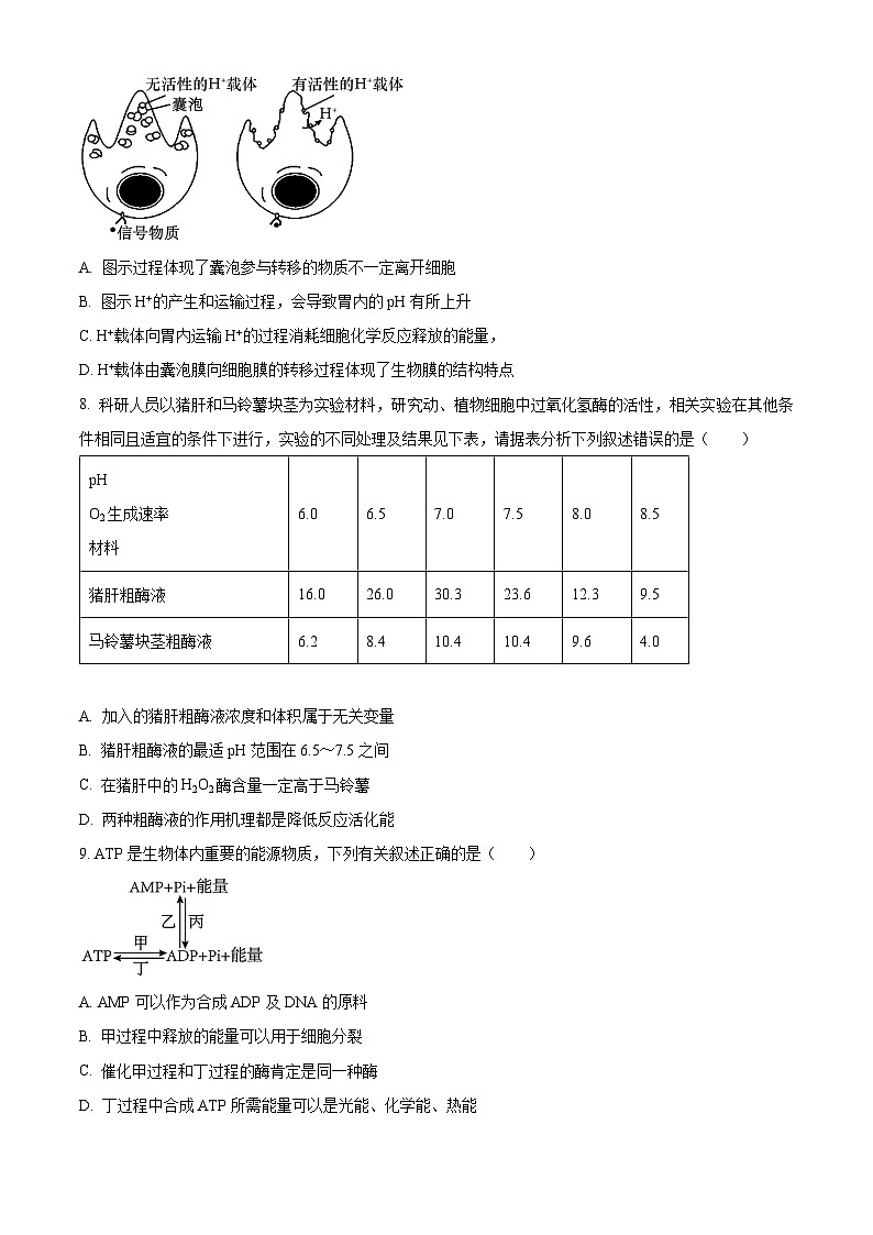天津市北辰区2023-2024学年高三上学期期中生物试题（原卷版）第3页