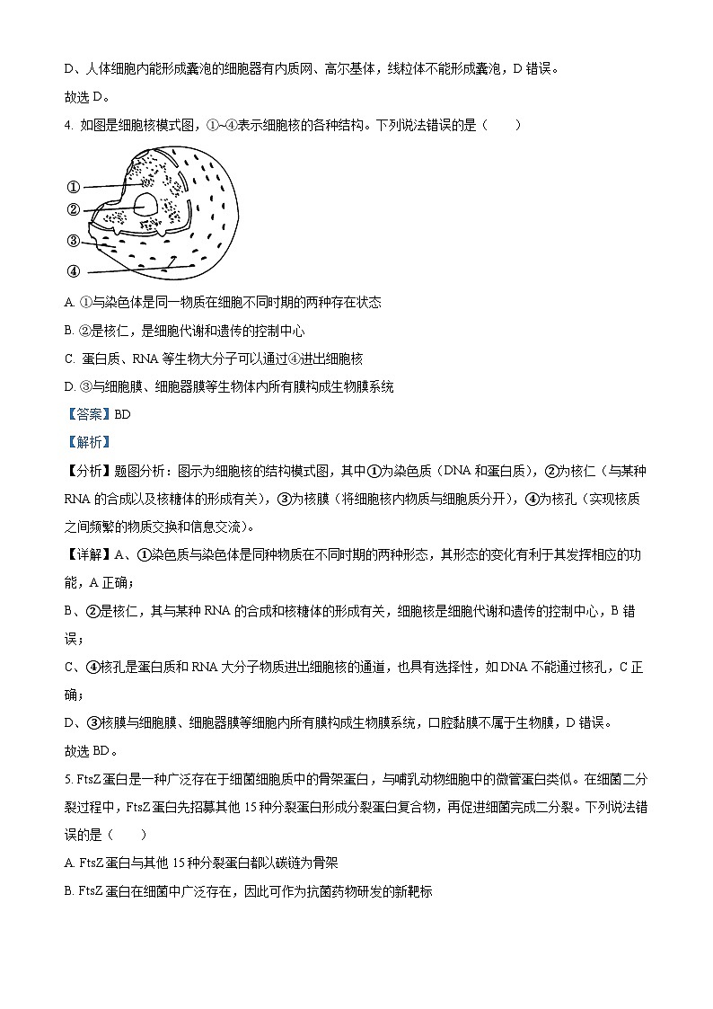 天津市北辰区2023-2024学年高三上学期期中生物试题含解析第3页