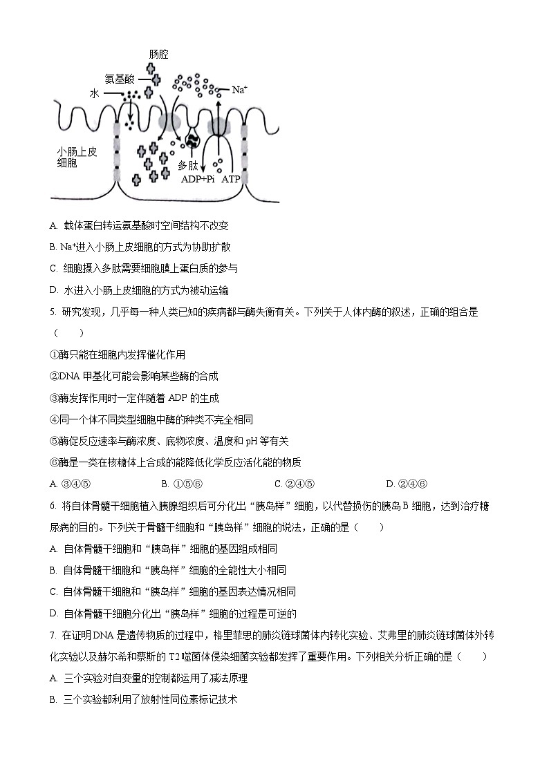 山西省大同市2023-2024学年高三上学期10月月考生物试题（原卷版）第2页