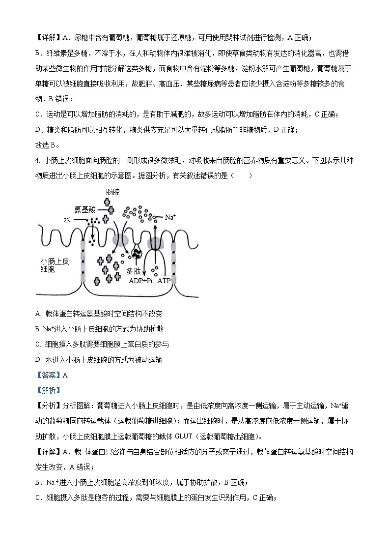 山西省大同市2023-2024学年高三上学期10月月考生物试题含解析第3页