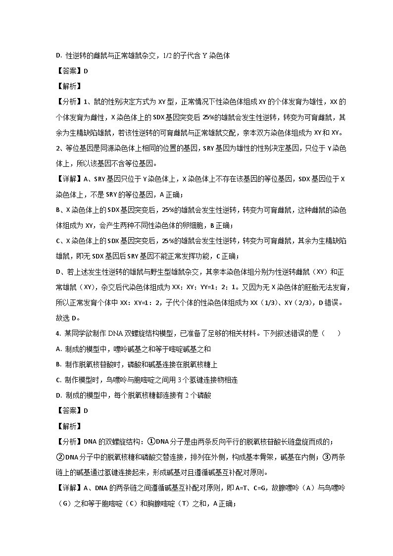 2024济南莱芜一中高三上学期期中考试生物试题含解析03