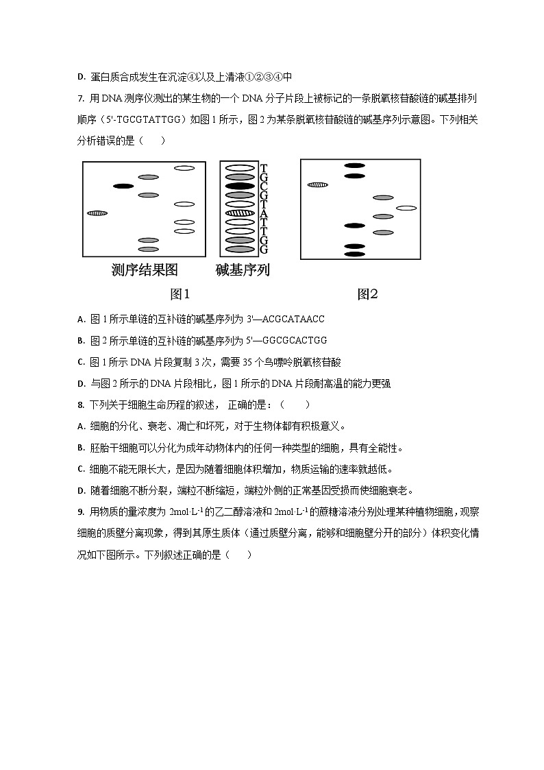 2024济南莱芜一中高三上学期期中考试生物试题含解析03