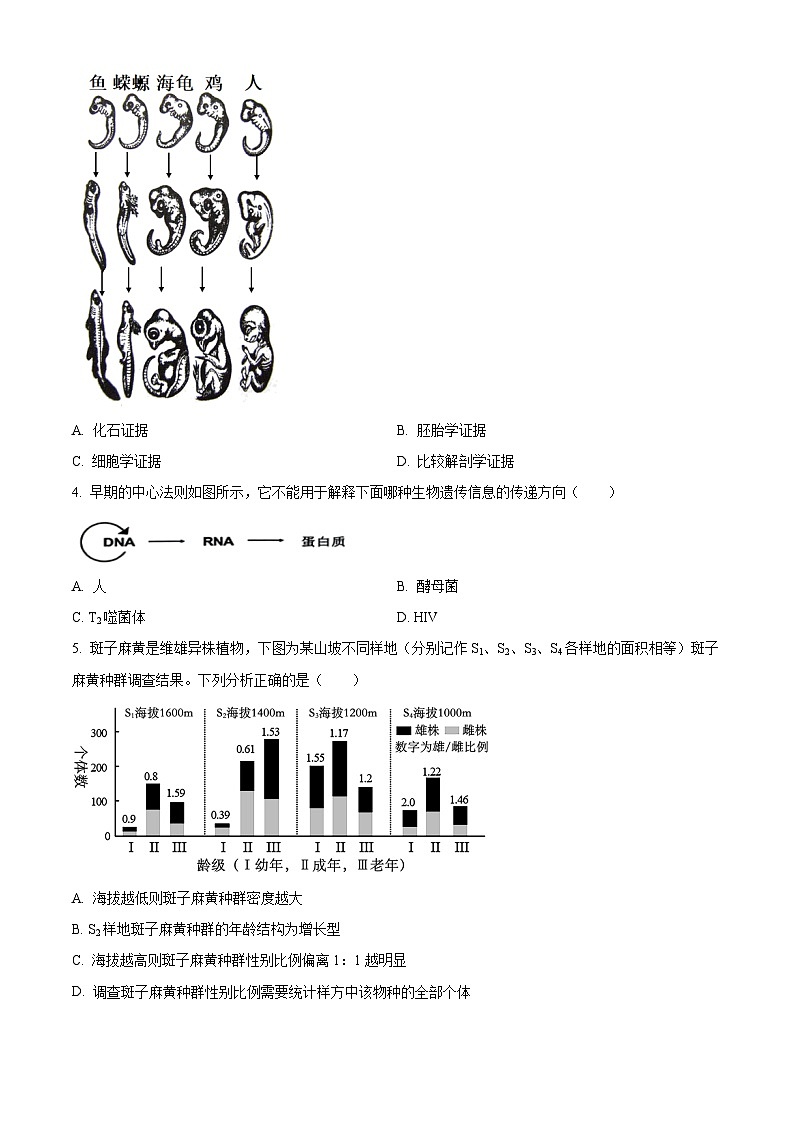 2024杭州高三上学期期中考试（一模）生物试题含解析02