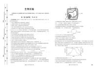 2024邢台部分高中高三上学期期中考试生物PDF版含答案