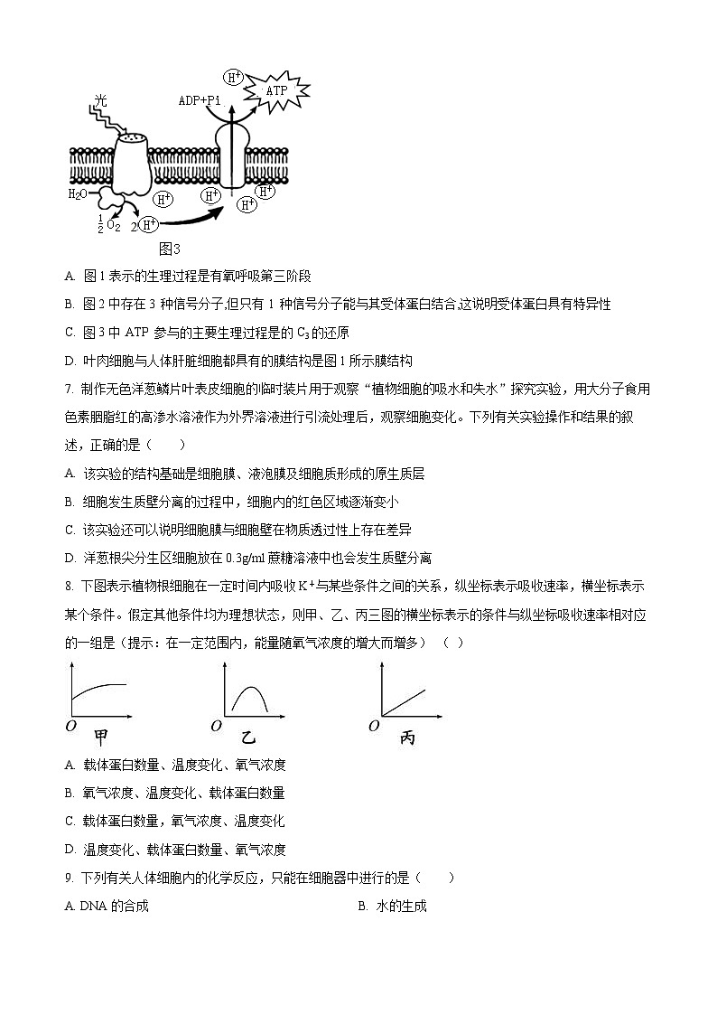 2024重庆市渝北中学高三上学期10月月考质量监测生物含解析03