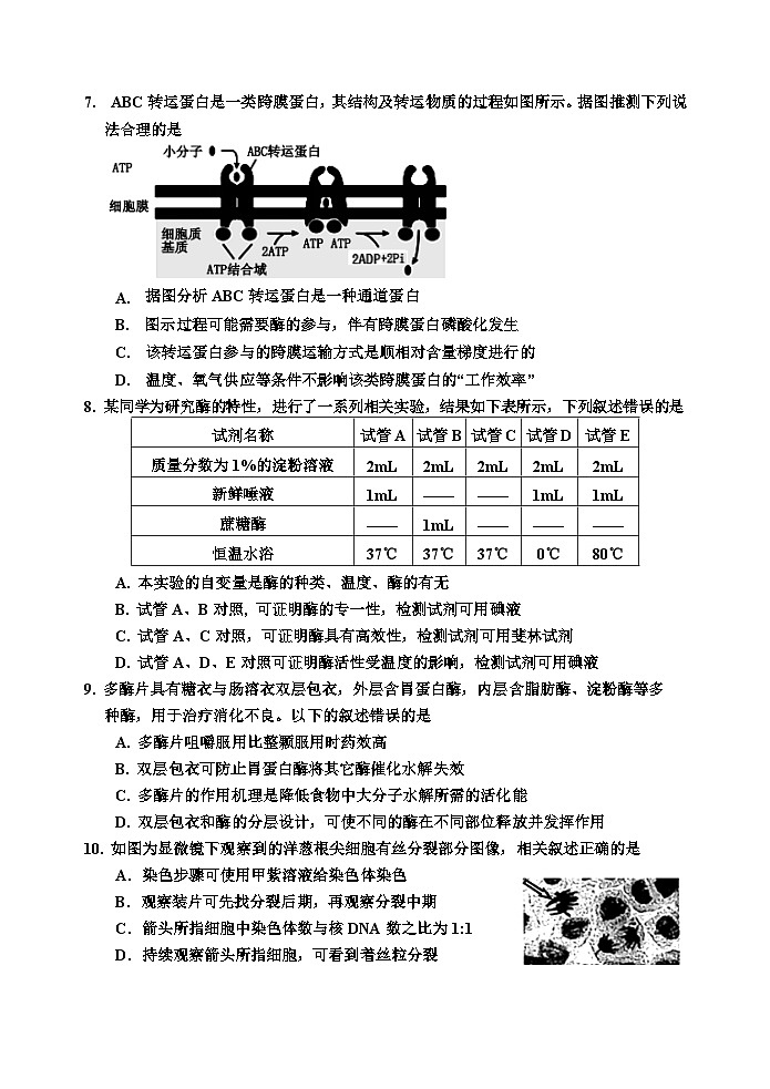吉林省吉林市2023-2024学年高三生物上学期第一次模拟考试试卷（Word版附答案）第3页