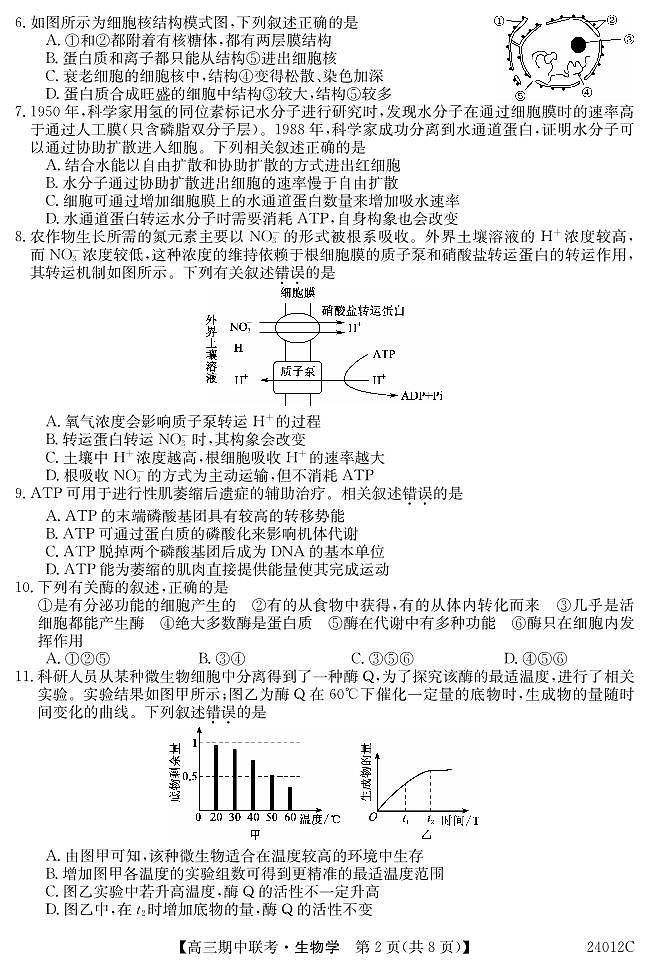 黑龙江省龙东五地市2023-2024学年高三上学期期中联考 生物试卷及参考答案02