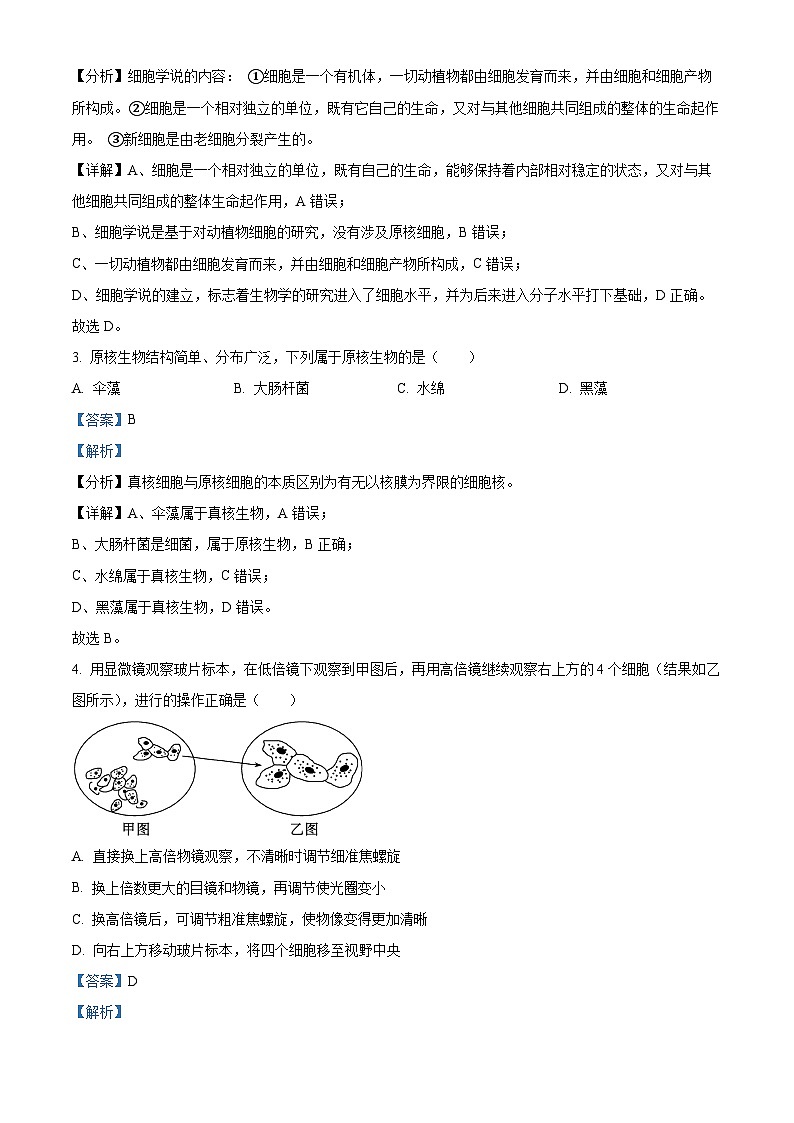 黑龙江省牡丹江市二中2023-2024学年高一上学期期中生物试题（解析版）第2页