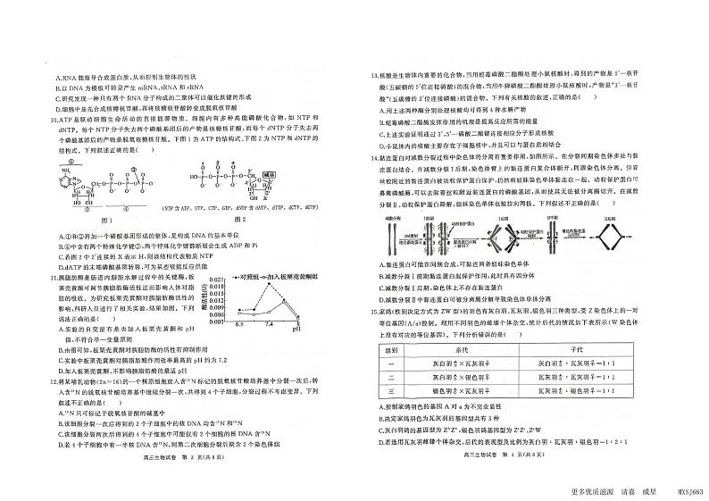 湖北省部分重点中学2023-2024学年高三上学期第一次联考生物试题第2页