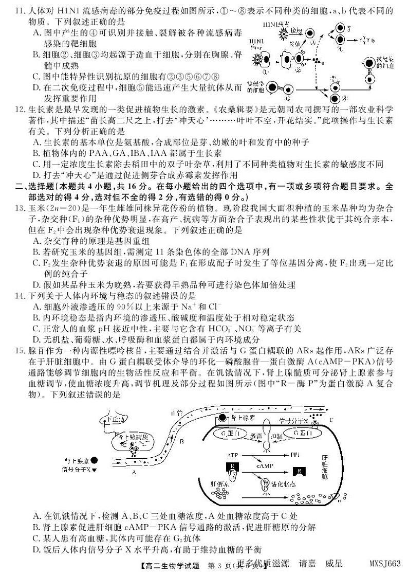 湖南省部分校2023-2024学年高二上学期期中考试生物试题第3页