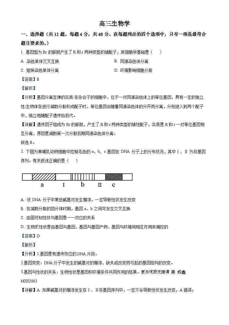 天津市红桥区2023-2024学年高三上学期期中生物试题（解析版）第1页