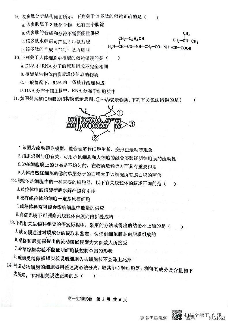 山西省大同市2023-2024学年高一上学期期中考试生物试题第3页