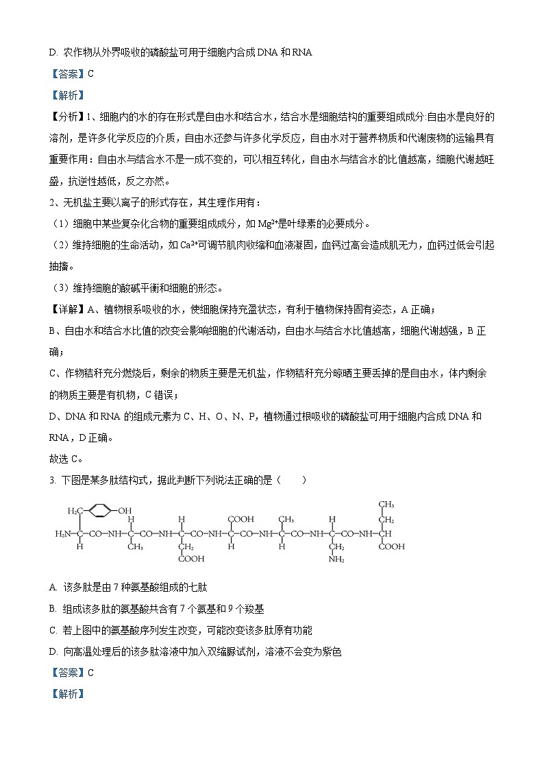 辽宁省丹东市2023-2024学年高三11月阶段测试生物试题（解析版）第2页