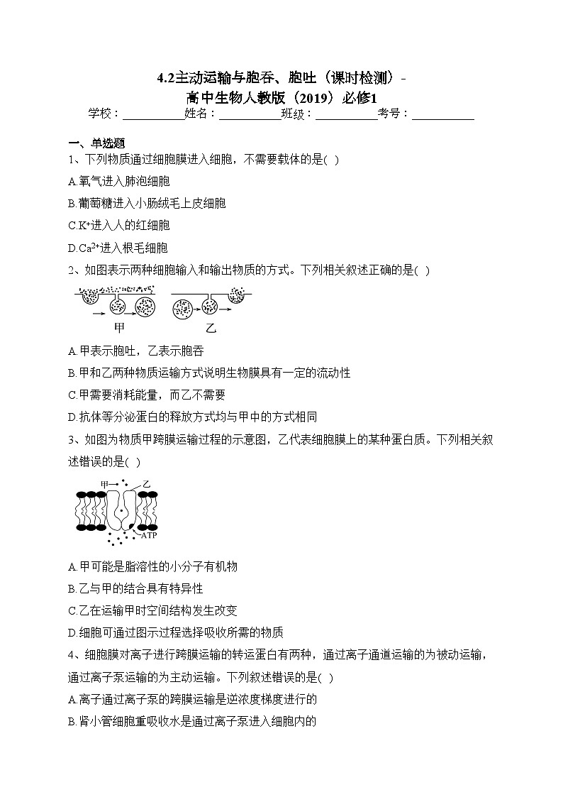 4.2主动运输与胞吞、胞吐（课时检测）-高中生物人教版（2019）必修1(含答案)第1页