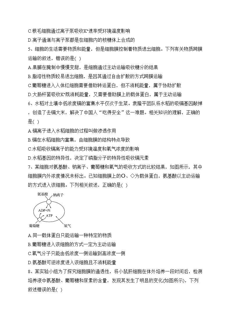 4.2主动运输与胞吞、胞吐（课时检测）-高中生物人教版（2019）必修1(含答案)第2页