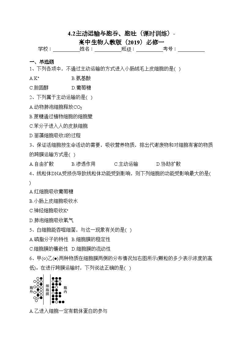4.2主动运输与胞吞、胞吐（课时训练）-高中生物人教版（2019）必修一(含答案)01