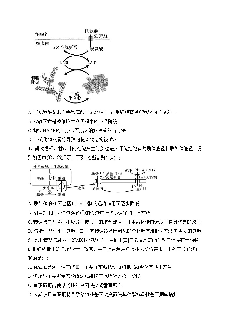 山东省枣庄市滕州市2024届高三上学期期中考试生物试卷(含答案)02